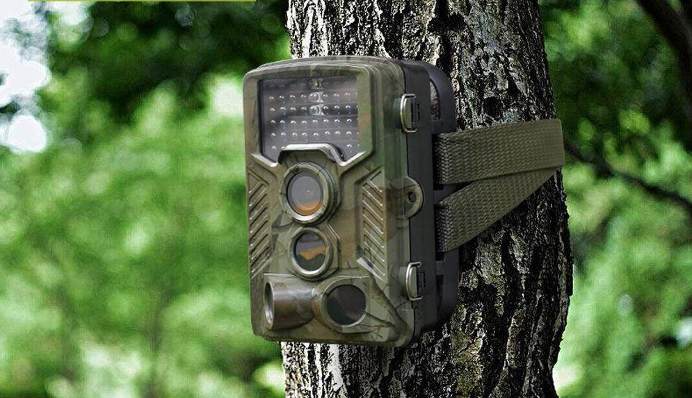 caméra de chasse en fôret